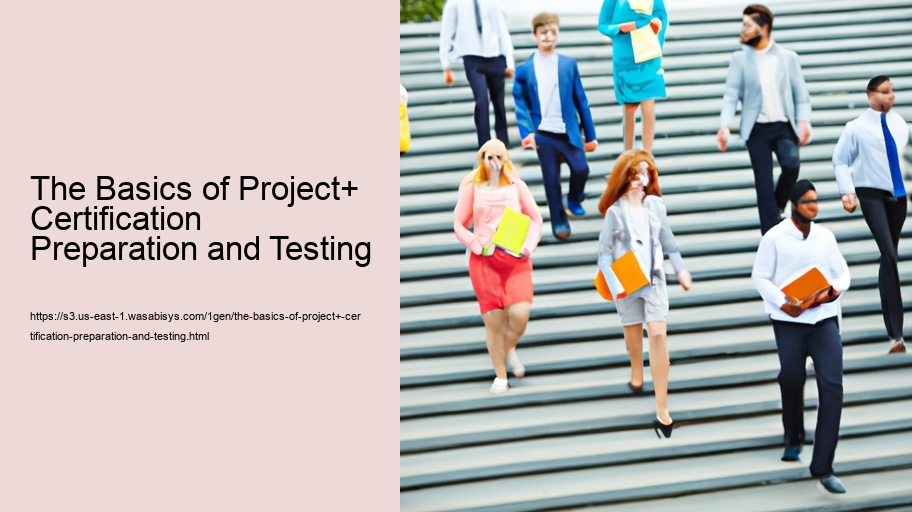 The Basics of Project+ Certification Preparation and Testing 