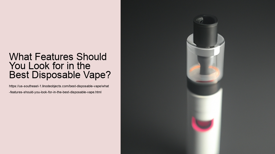 What Features Should You Look for in the Best Disposable Vape? 