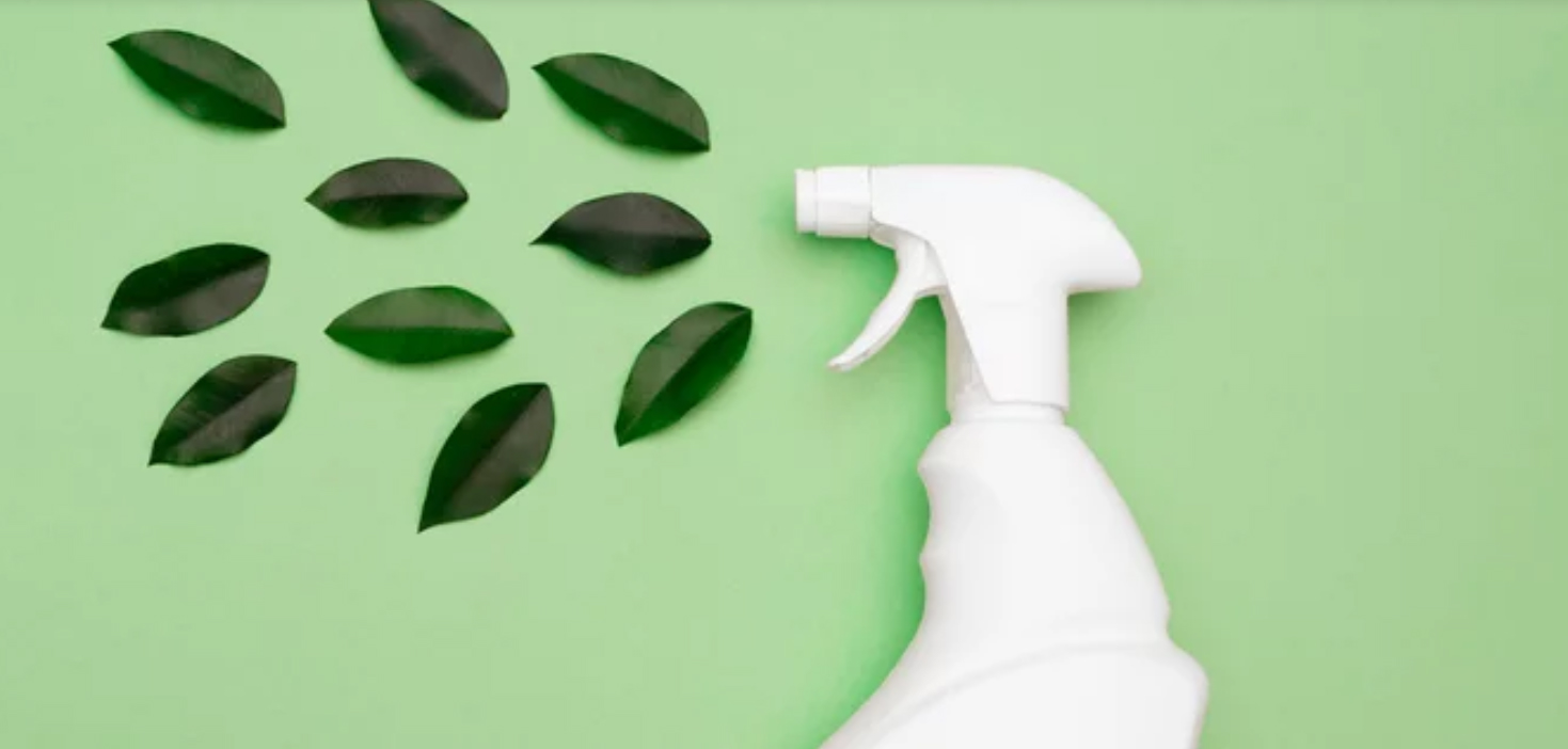 The 10 Best EcoFriendly Cleaning Products for a Sparkling Home