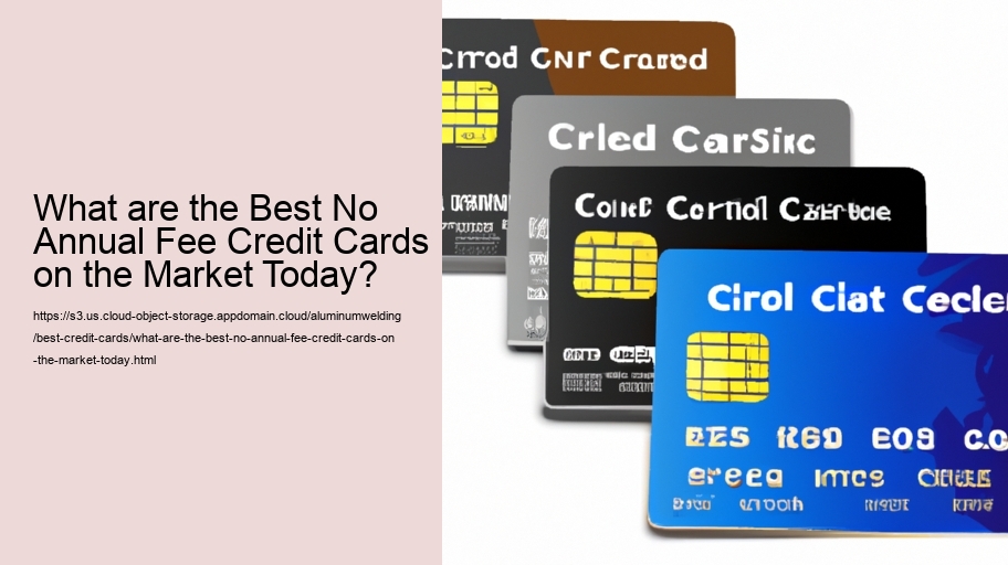 What are the Best No Annual Fee Credit Cards on the Market Today?