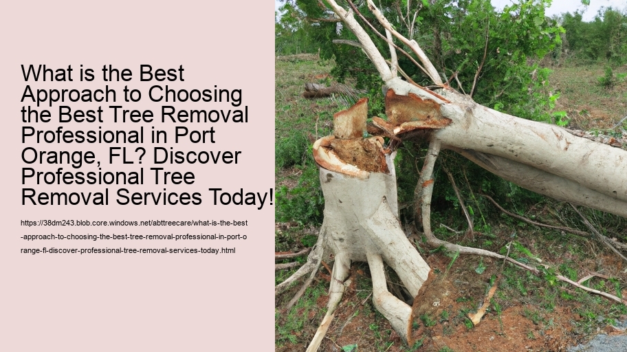 What is the Best Approach to Choosing the Best Tree Removal Professional in Port Orange, FL? Discover Professional Tree Removal Services Today!