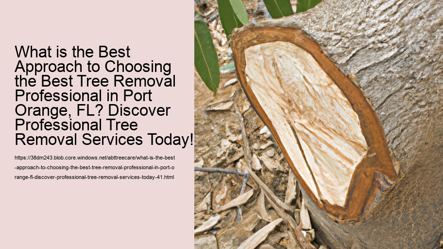 What is the Best Approach to Choosing the Best Tree Removal Professional in Port Orange, FL? Discover Professional Tree Removal Services Today!