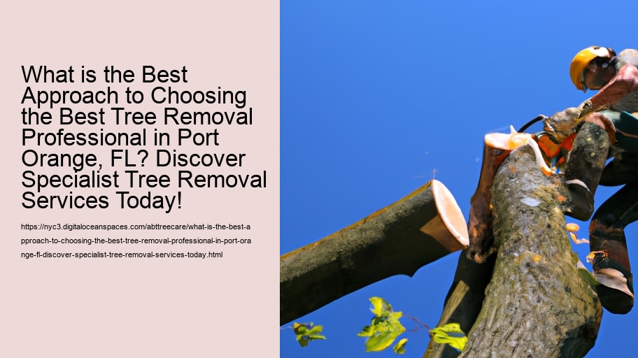 What is the Best Approach to Choosing the Best Tree Removal Professional in Port Orange, FL? Discover Specialist Tree Removal Services Today!