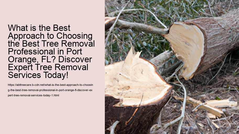 What is the Best Approach to Choosing the Best Tree Removal Professional in Port Orange, FL? Discover Expert Tree Removal Services Today!