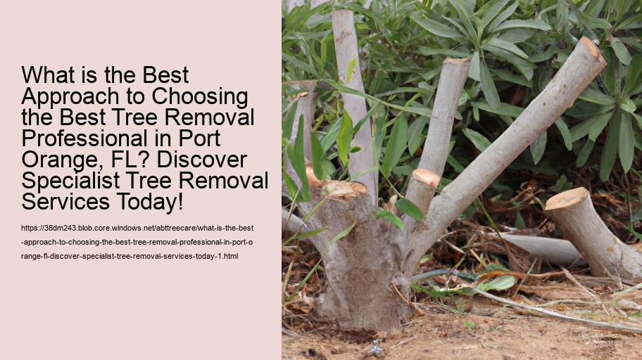 What is the Best Approach to Choosing the Best Tree Removal Professional in Port Orange, FL? Discover Specialist Tree Removal Services Today!