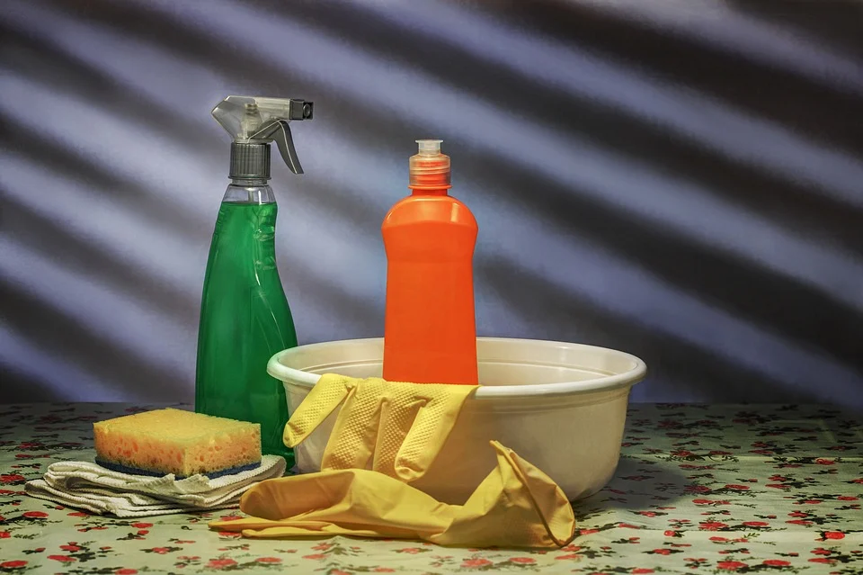 How Much For Professional Cleaning Services  St. Joseph Mo