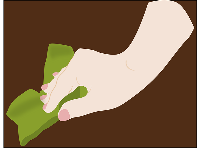 Inexpensive Carpet Cleaning St. Joseph Mo