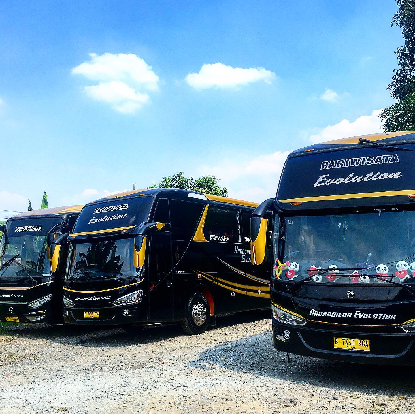 Bus Pariwisata Andromeda Evolution