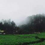 Lembang Bandung.niko budi mulyono unsplash