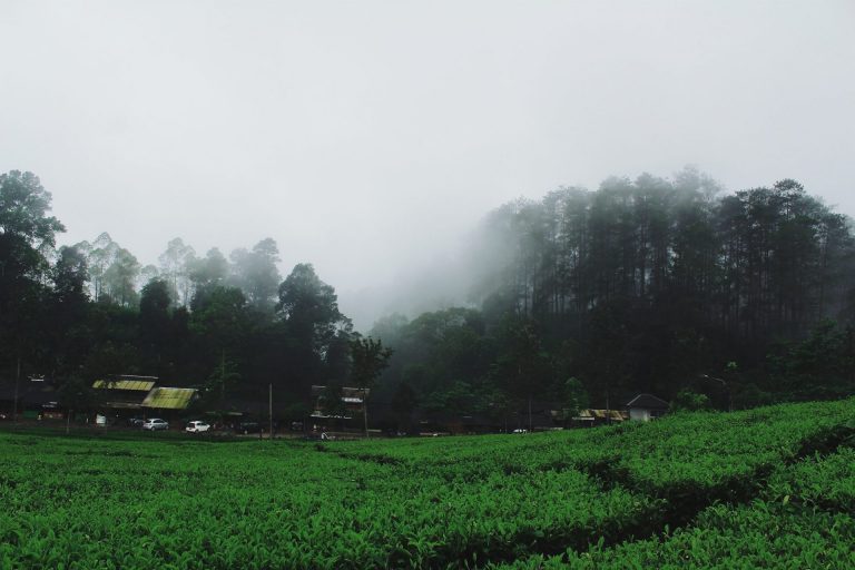 Bandung Utara Dalam 2 Hari