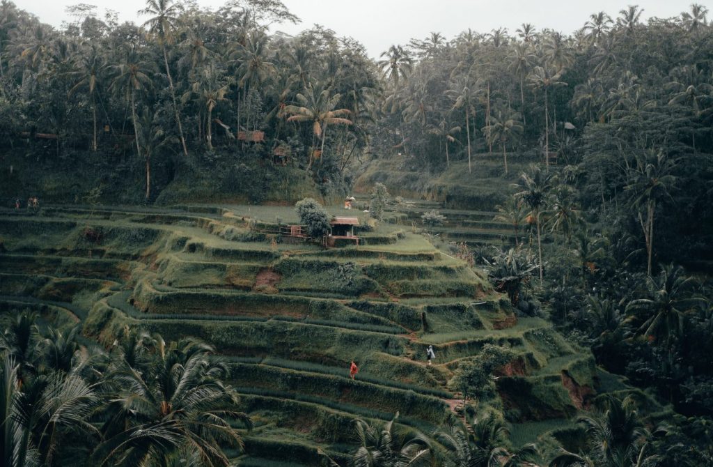 Desa Tegallalang Bali, 11 Undakan Sawah