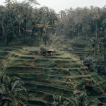 Desa Tegallalang Bali radoslav bali unsplash