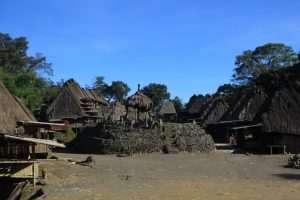 Kampung Bena Flores, 9 Suku dan 45 Rumah 7 Kampung Bena Rosana