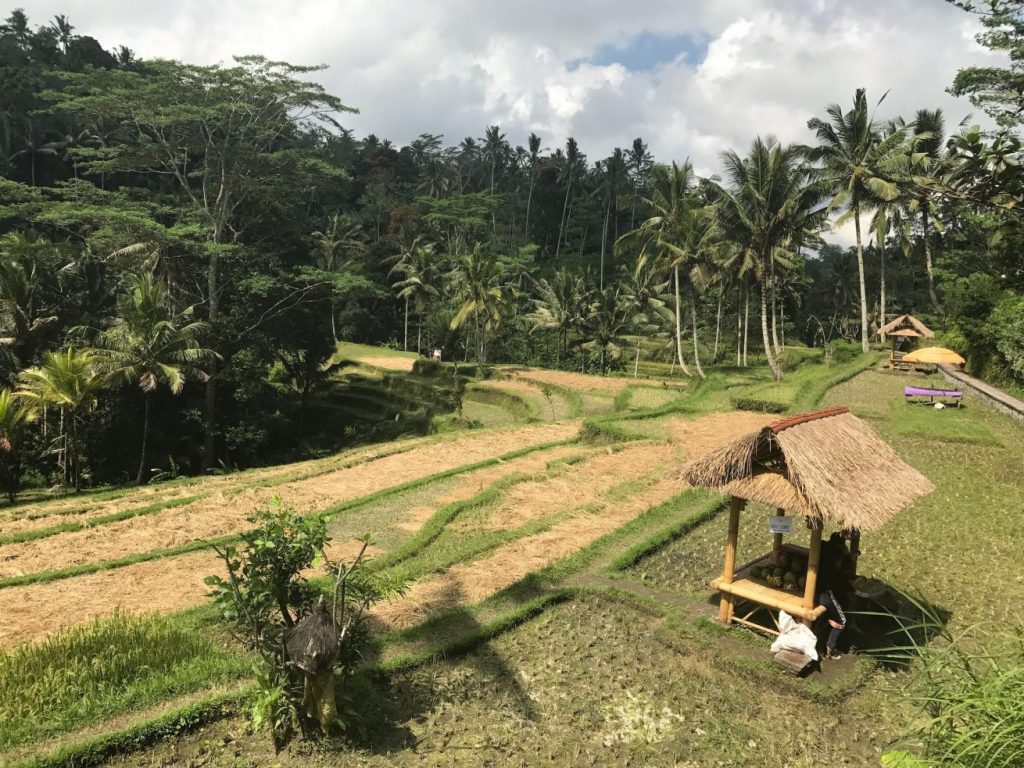 Desa-desa Gianyar-Bangli Bali Dalam 2 Hari
