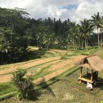 Desa-desa Gianyar-Bangli sebagai Tujuan Wisata di Bali