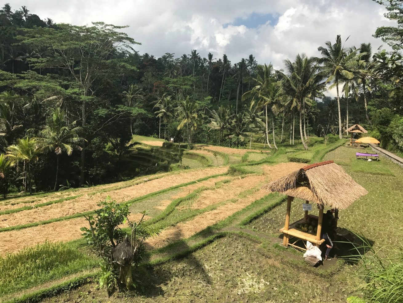 Desa-desa Gianyar-Bangli sebagai Tujuan Wisata di Bali