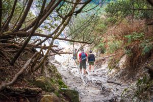 8 Destinasi Wisata Yang Ramai Selama Pandemi 7 8 destinasi wisata trekking shutterstock