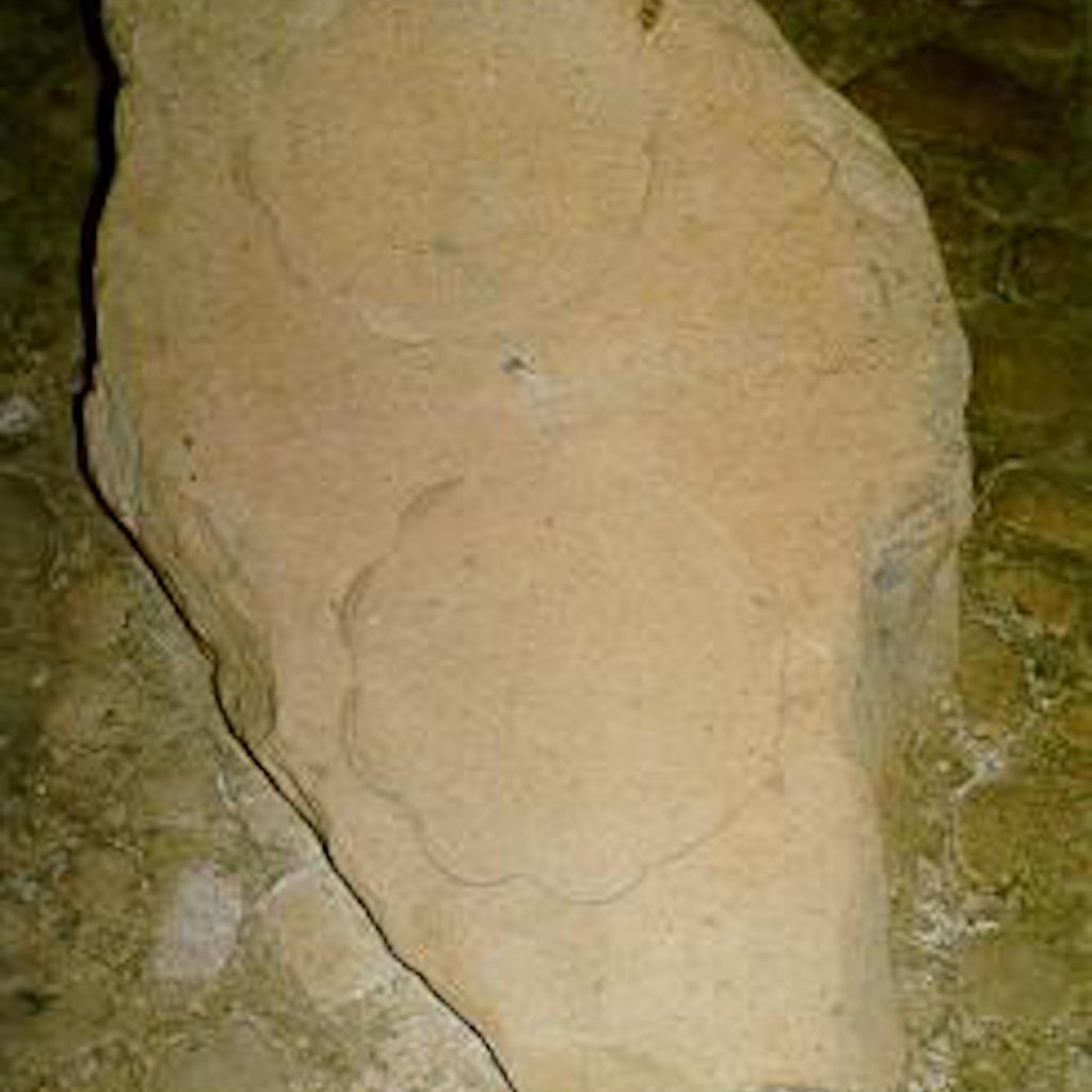 Sepasang telapak kaki seorang raja yang terdapat pada sebuah prasasti umumnya melambangkan