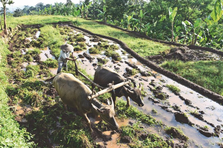 Perjalanan 3 Hari di 3 Kampung Sunda