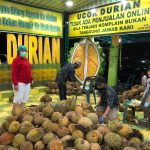 ucok durian Medan menjadi ikon kuliner kota Medan, Sumatera Utara.