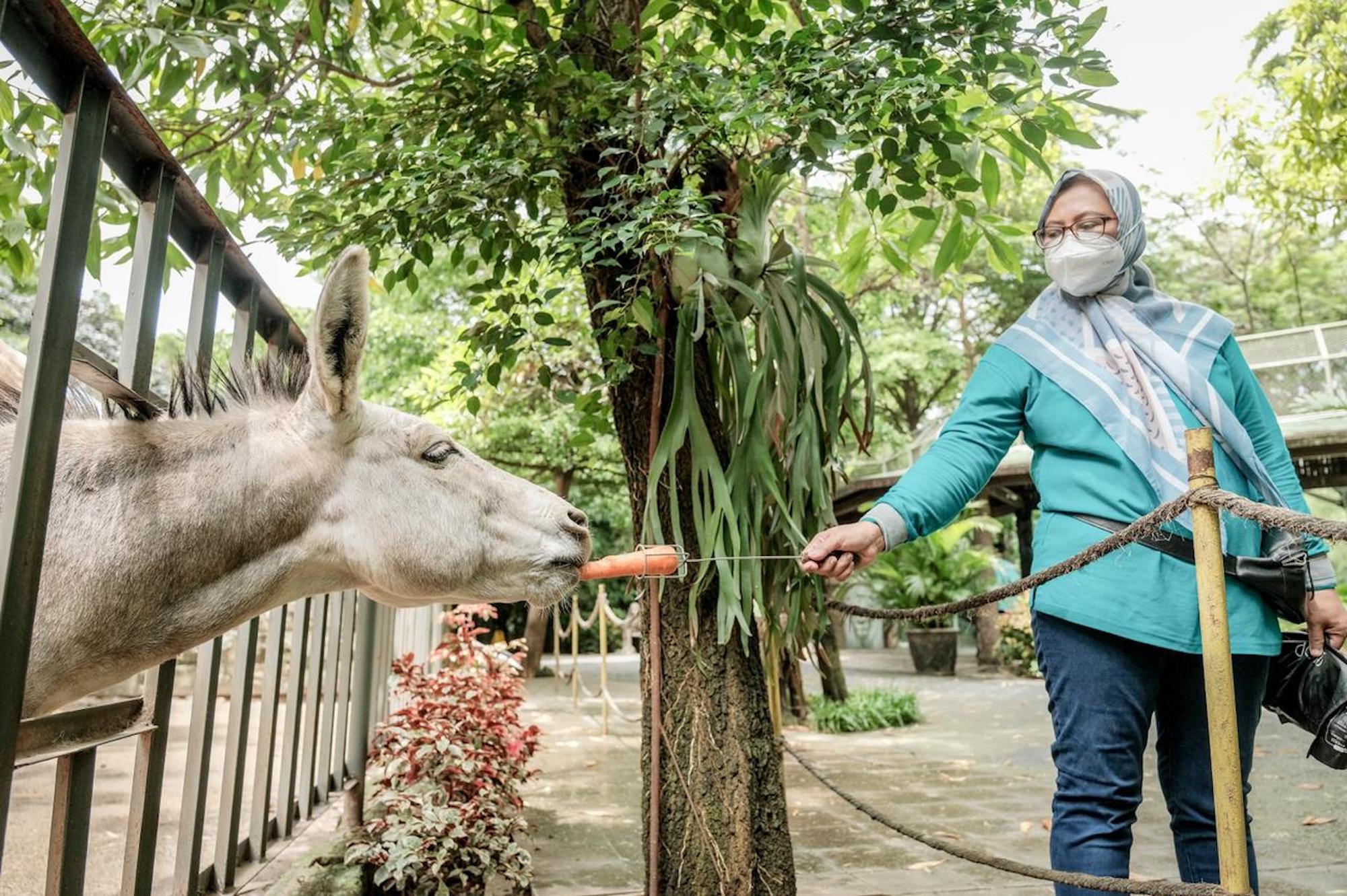 Kemenparekraf ajak 50 nakes berwisata