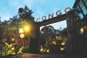 Congo Dago Prima M.