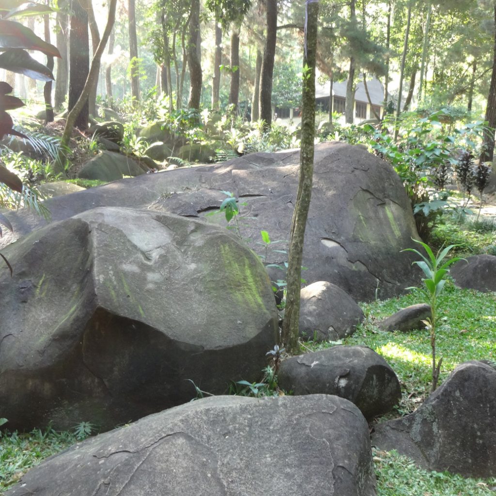 Keliling Bogor dan menikmati keindahan alamnya, salah satunya mengunjungi Wana Wisata Gunung Pancar.
