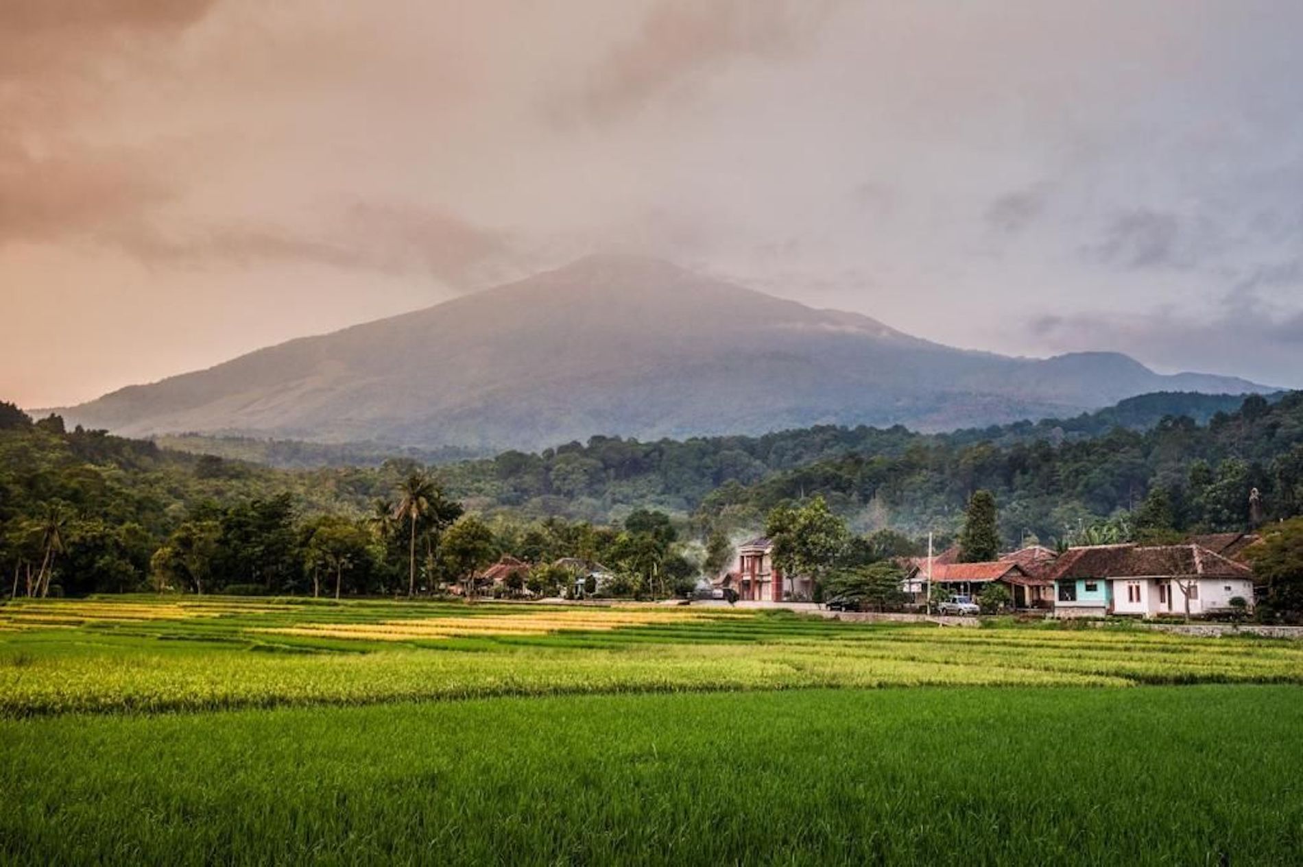 244 desa wisata bisa menjadi lokomotif perkembangan perekonomian Indonesia.