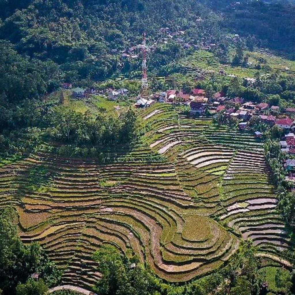 244 Desa Wisata Bisa Jadi Lokomotif Ekonomi 3 244 desa wisata bisa menjadi lokomotif perkembangan perekonomian pasca-pandemi covis-19.