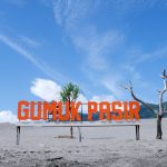 Sandboarding, meluncur di atas gumuk pasir pantai Parangkusumo Yogyakarta.