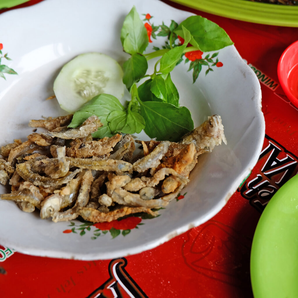 Kuliner Yogyakarta sangat beragam dari yang manis hingga yang pedas. Dari ayam hingga ikan sungai.