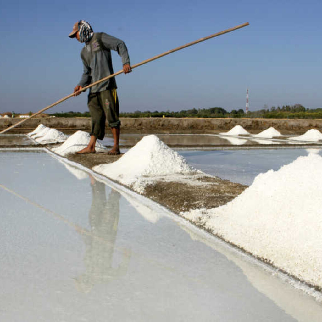 Desa Dasun Rembang, Jejak Bahari Abad 13 6 Desa Dasun Rembang merupakan desa wisata bahari, salah satunya adalah atraksi produksi garam tradisional.