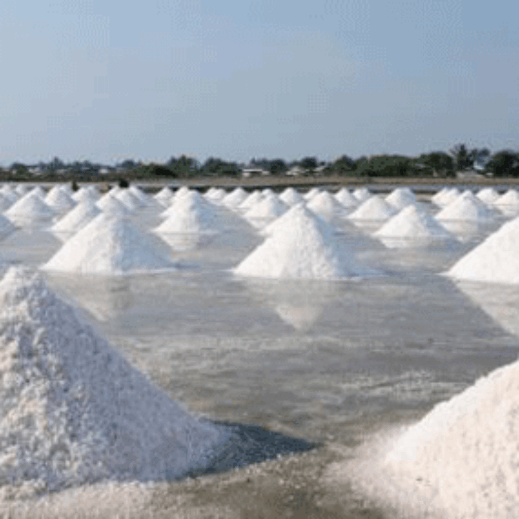 Desa Dasun Rembang, Jejak Bahari Abad 13 5 Desa Dasun Rembang juga punya keistimewaan sebagai tambak garam terbesar di pesisir utara Jawa.