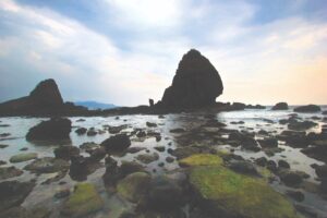 3 pantai di Jember dikenal memiliki aura mistis. Masyarakat setempat sering mengadakan ritual khusus di sana.