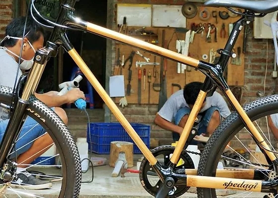 Sepeda bambu merek Spedagi menggunakan bahan bambu petung.
