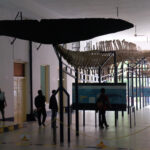 Museum Zoologi Bogor adalah salah satu rujukan tentang hewan yang ada di Nusantara.