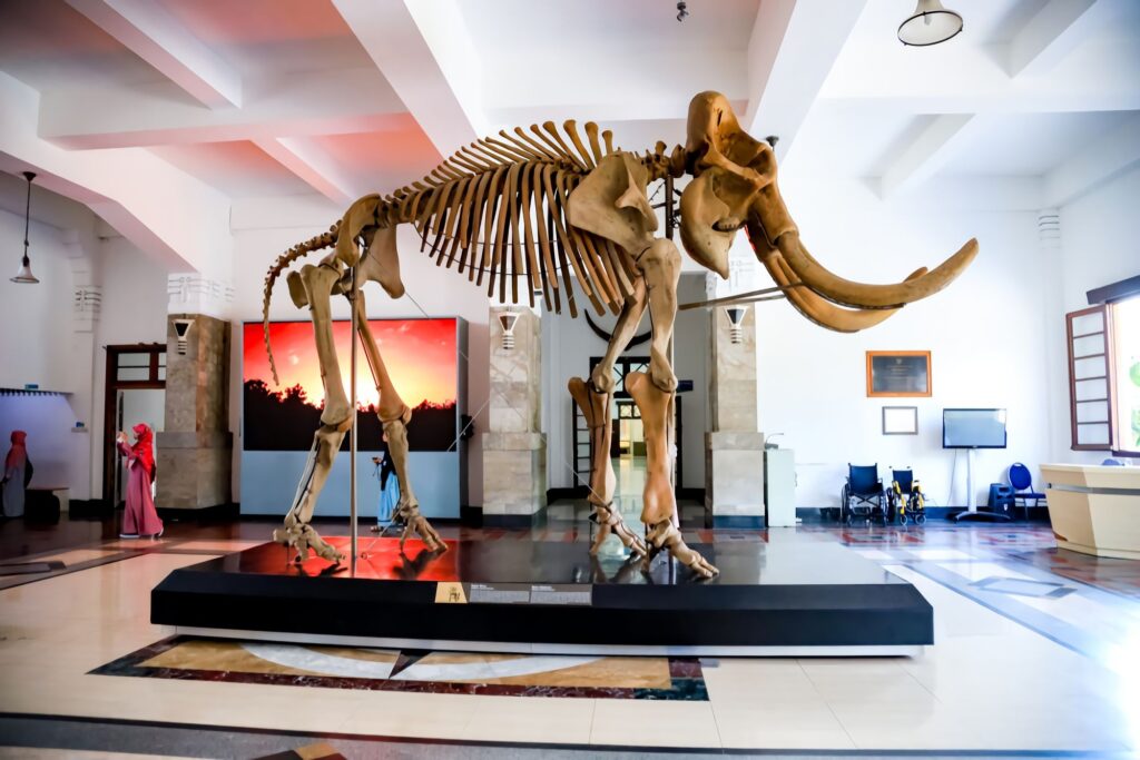 Museum Geologi Bandung, Unik Sejak 1929