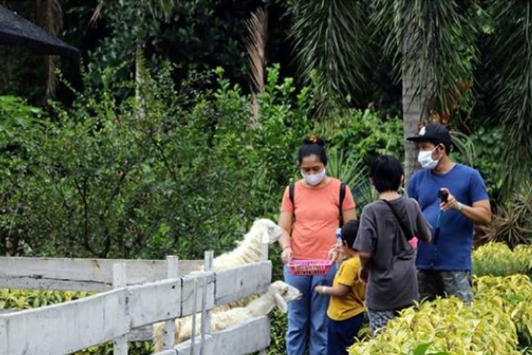 Taman Buah Mekarsari juga menyediakan spot untuk mengenal fauna.