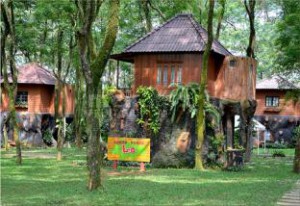 Rumah Pohon untuk menginap di Taman Buah Mekarsari.