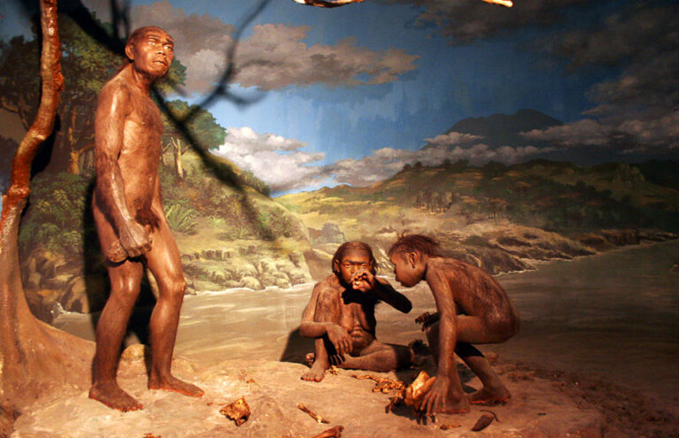 Situs Sangiran, Jejak 2 Juta Tahun Manusia