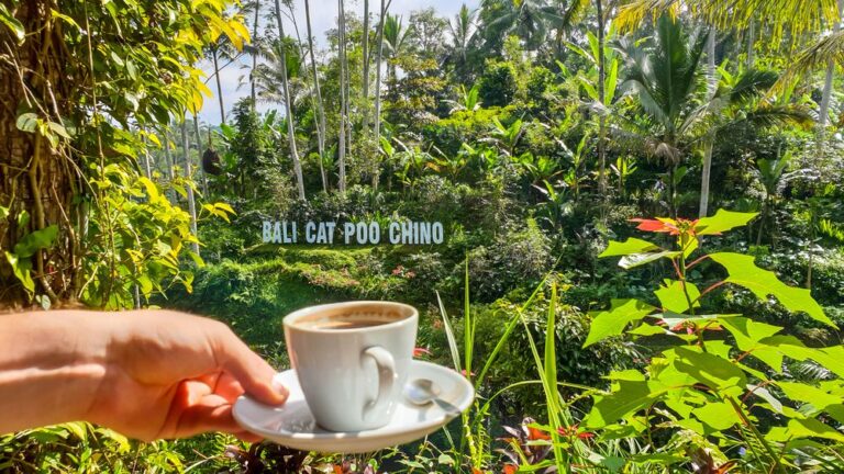 Wisata Ngopi, Ini Dia 5 Kampung Kopinya