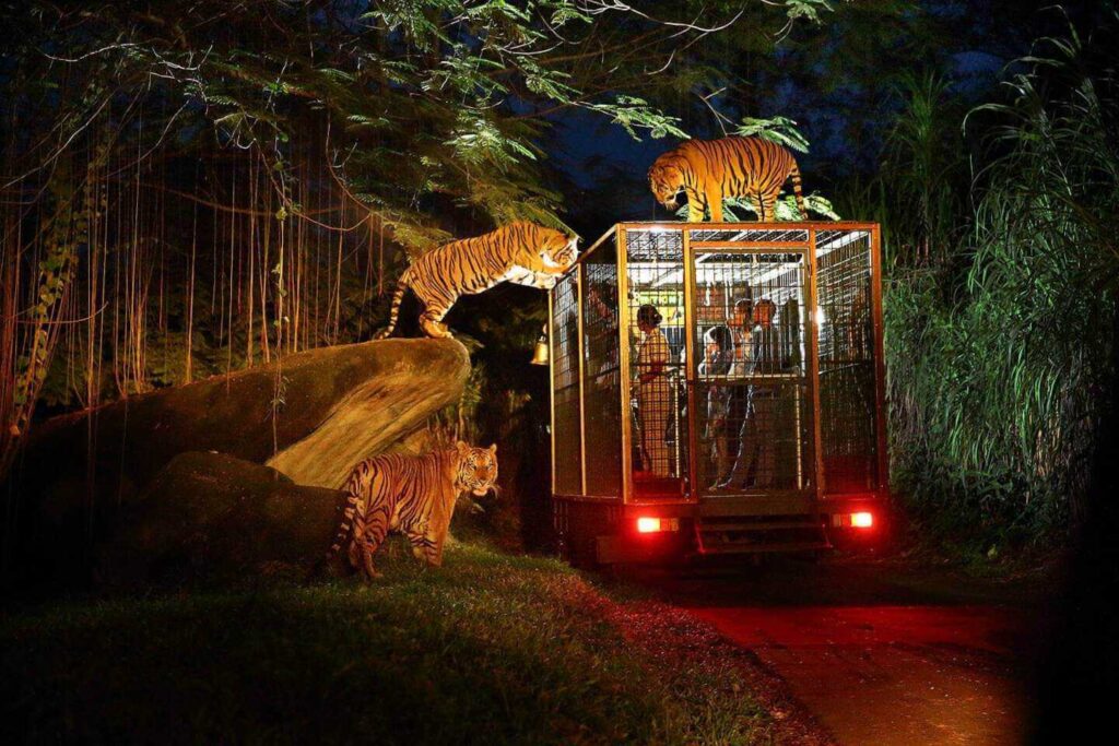 Taman Safari Bali juga memiliki petualangan berkeliling pada malam hari.