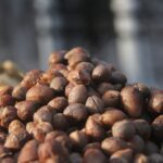 Kacang Bogor salah satu dari 5 jajanan khas Bogor. Foto: shutterstcok