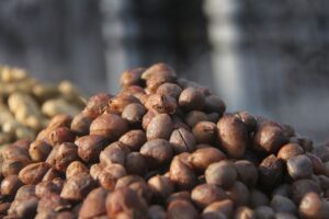 Kacang Bogor salah satu dari 5 jajanan khas Bogor. Foto: shutterstcok