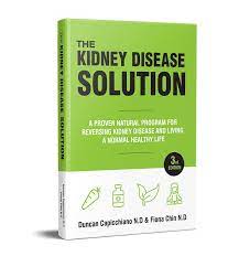 does the kidney disease solution really work
