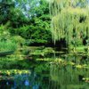 Claude Monet's lilly pond, looking north