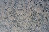 Aggregate (colors: gray, dark gray)