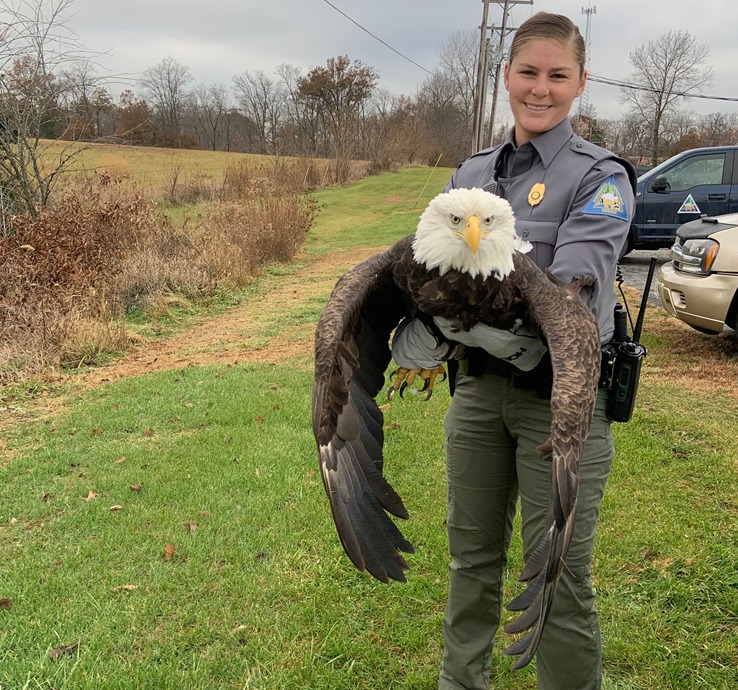 MDC Eagle