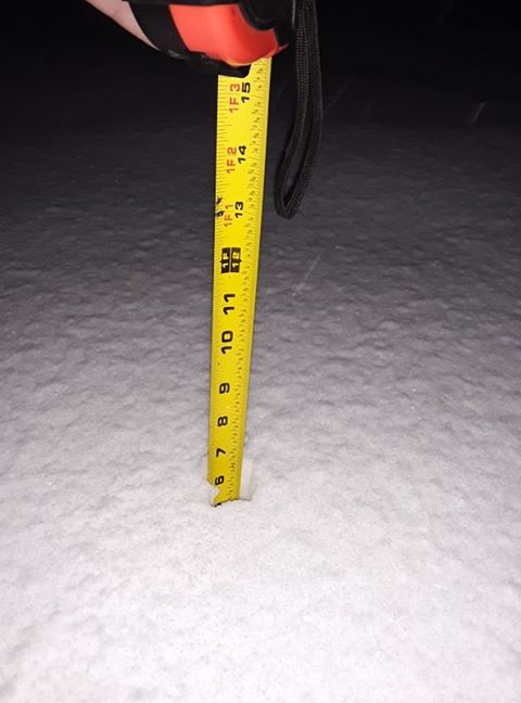 Snow in Auxvasse