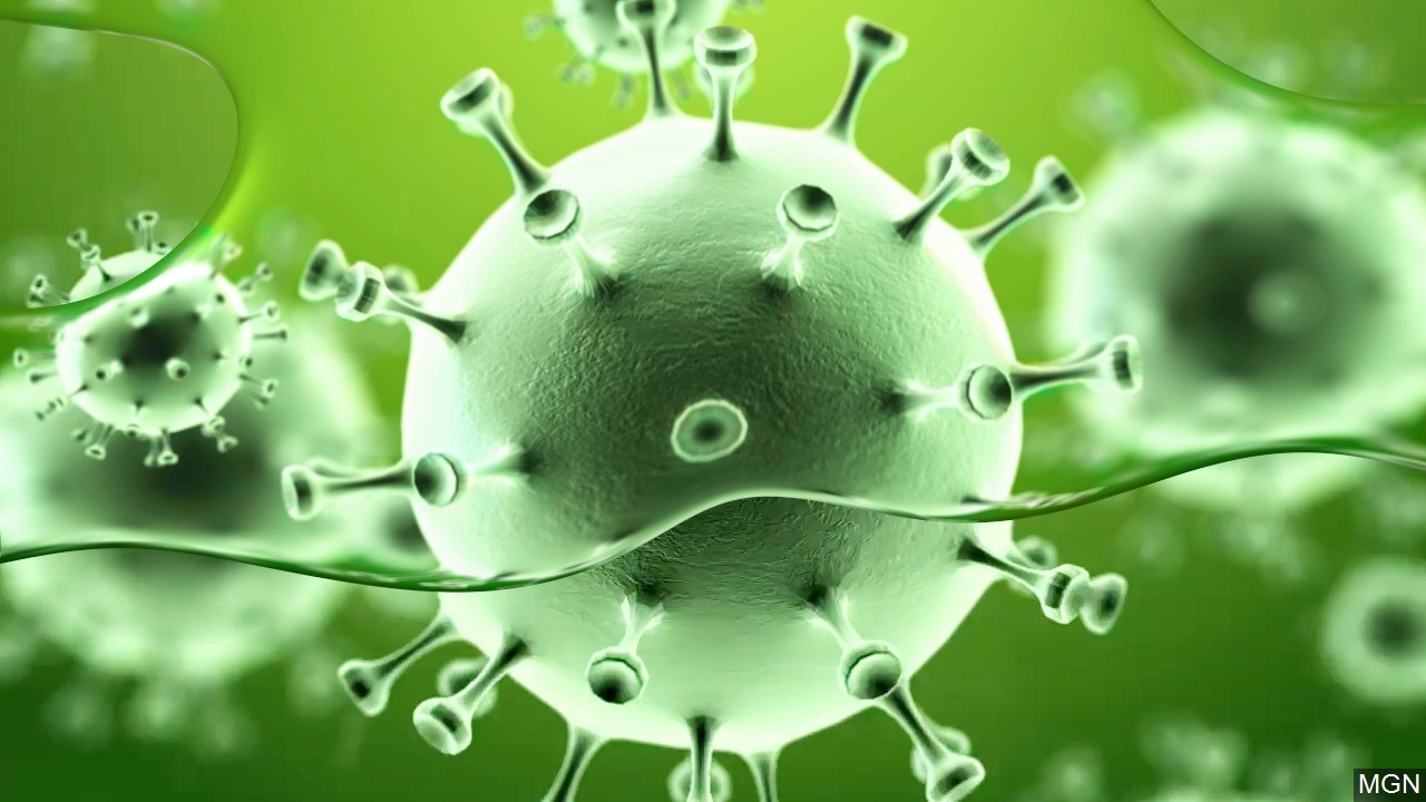 Artist rendering of novel coronavirus
